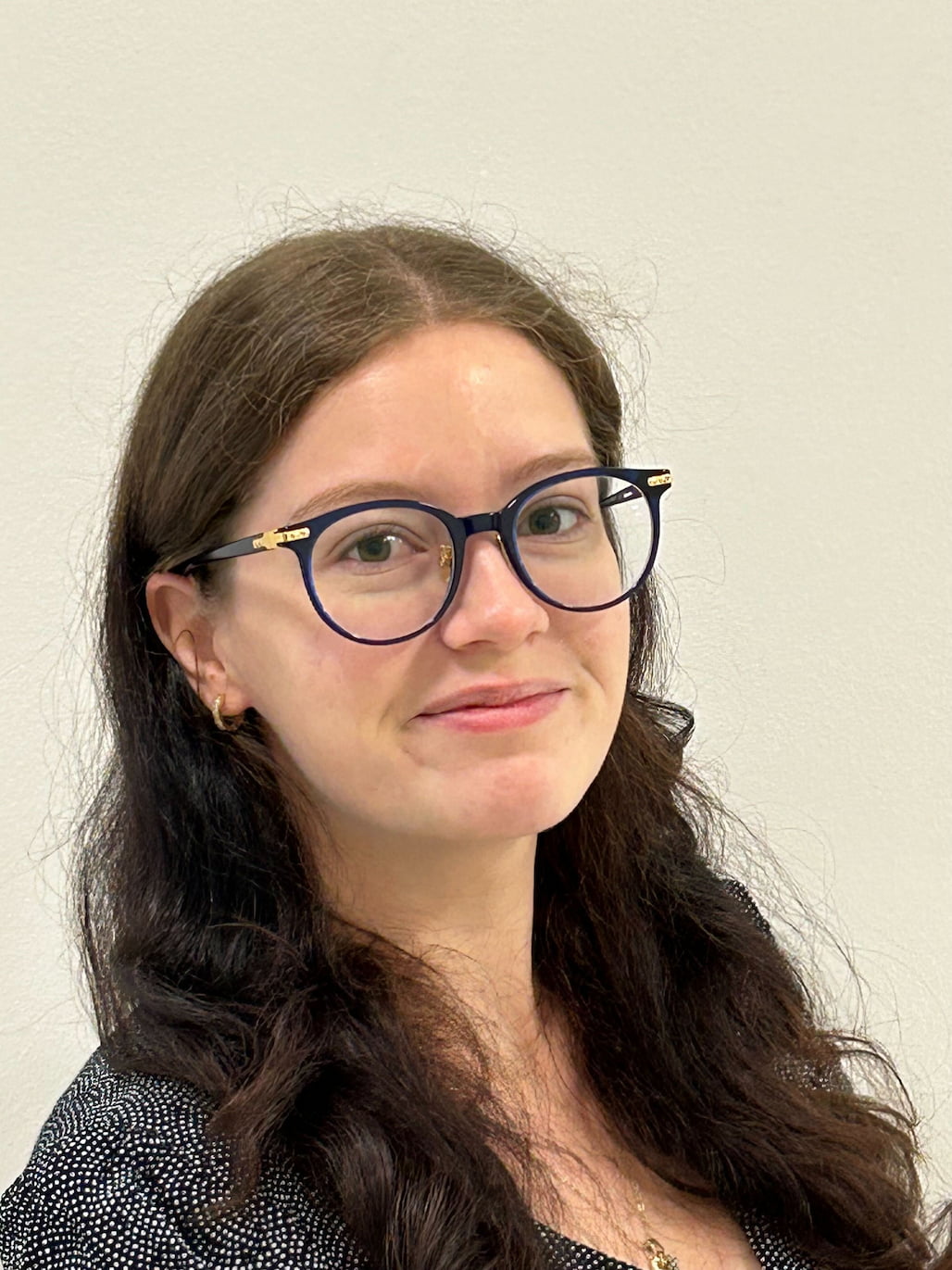 Undergraduate Student